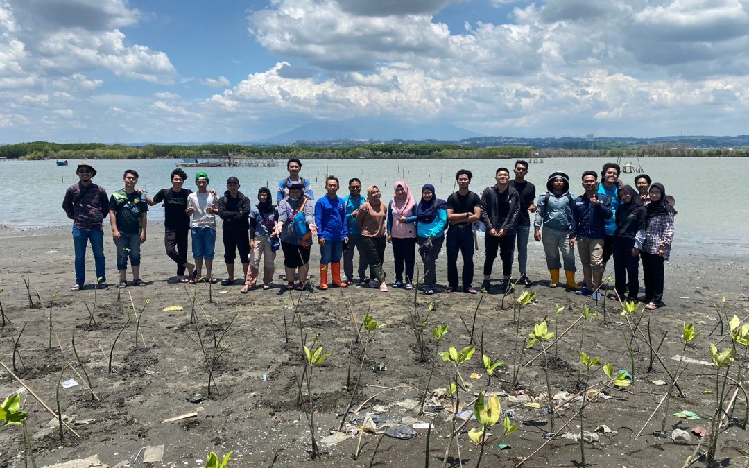 Community Service Team from Geological Engineering Undip Planting 500 Mangrove Seeds on The Beach at Mangrove Forest Area